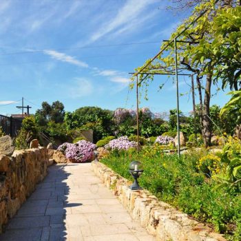 Fleurs, arbres fruitiers, le jardin de Casa Favalella